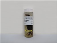 藏品(麻雀)的圖片